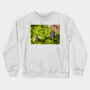 elb muscari Crewneck Sweatshirt